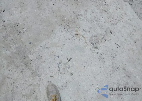 2006 Honda Odyssey Ex-L z USA, uszkodzony, nr VIN 5FNRL38686B060000